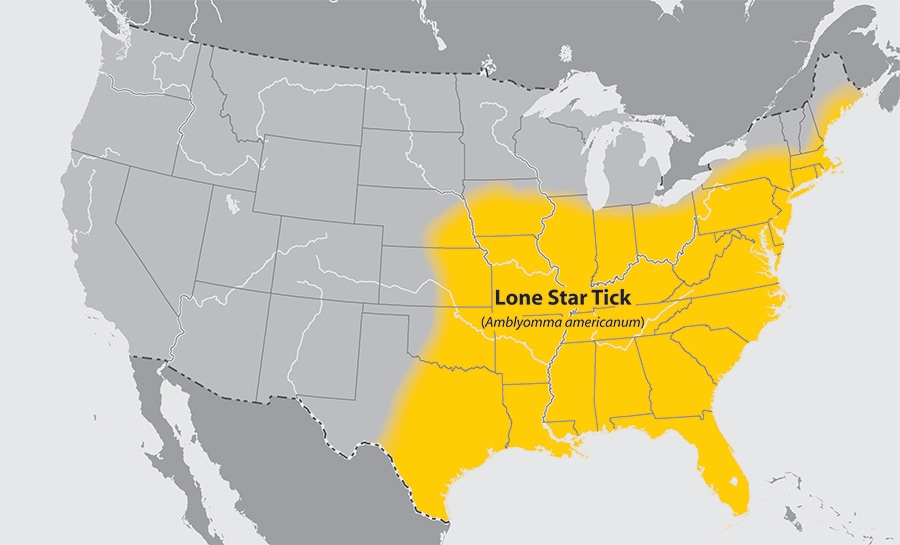 Map of the United States showing the approximate distribution of the Lone Star tick. The area affected is the eastern half of the country.