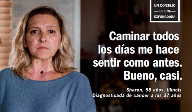 El consejo de Sharon