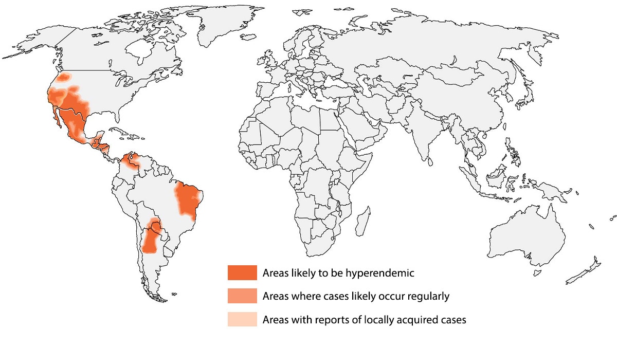 A map showing the approximate area with Coccidioidomycoses in the world