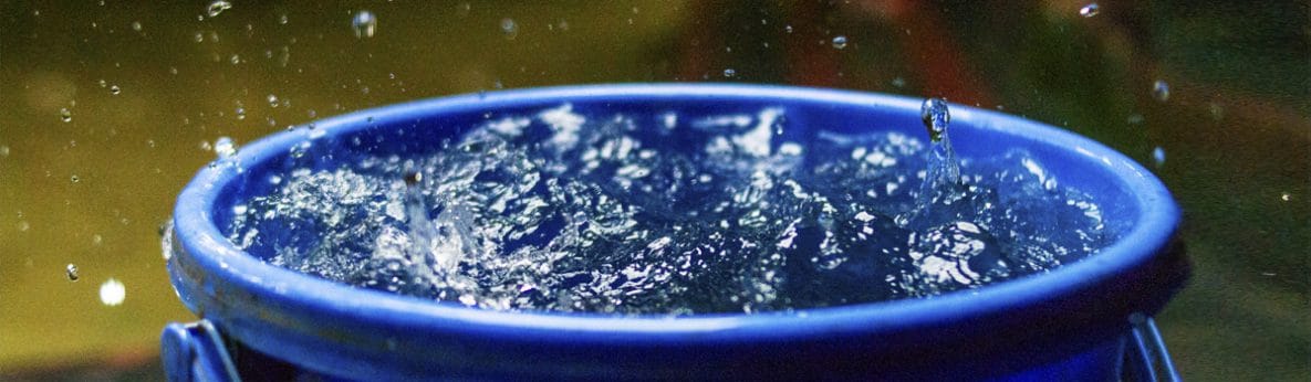 Blue plastic bucket outside collecting rainwater.