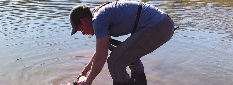 A scientist bending over to collect a water sample from an outdoor body of water.