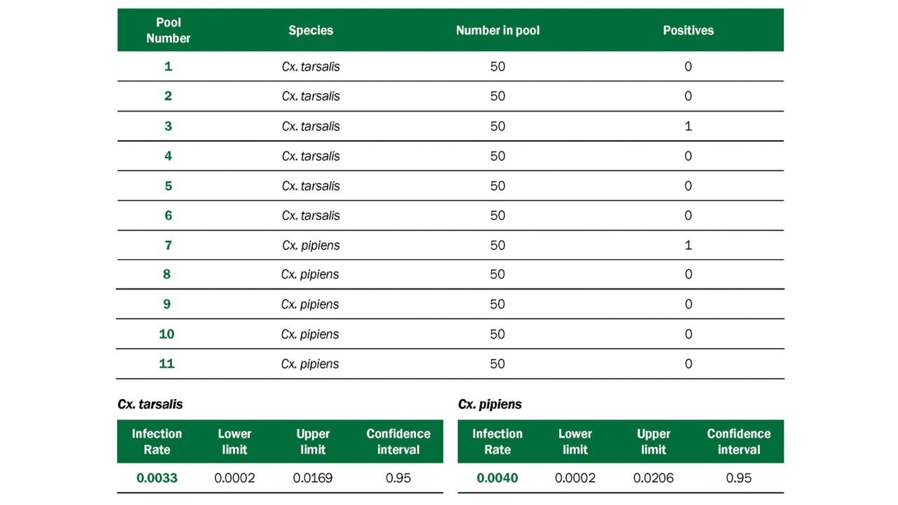 Calculate the WNV infection rate for each species (as a proportion)