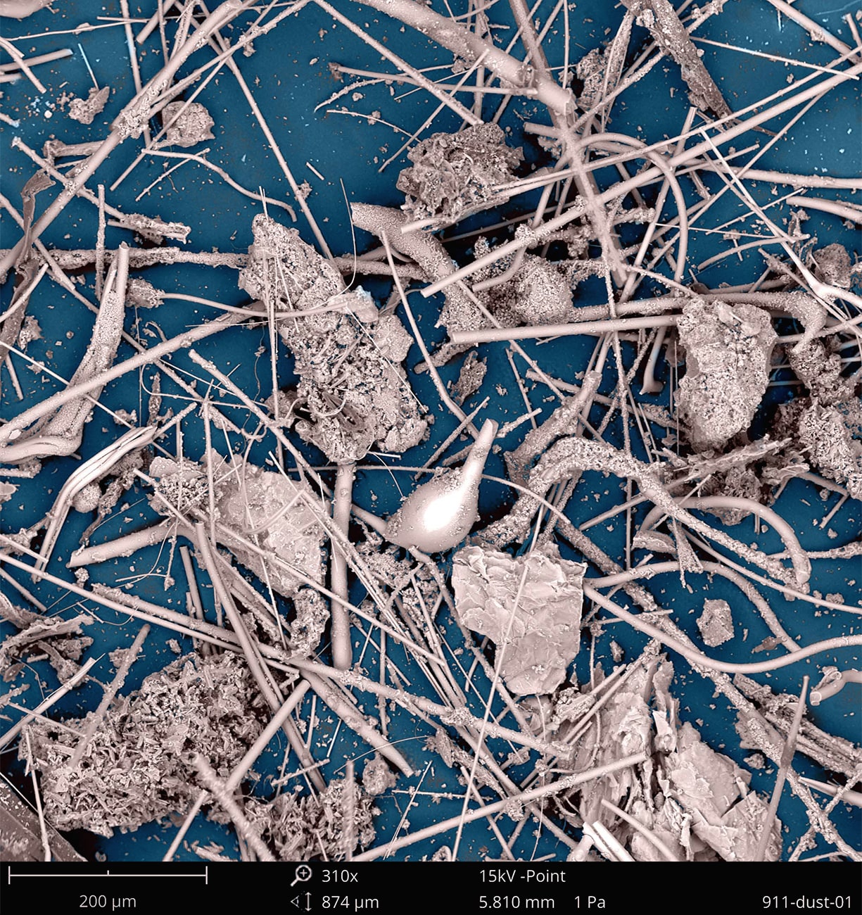 Dust from ground zero magnified under a scanning electron microscope